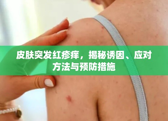 栖冲业简 第2页