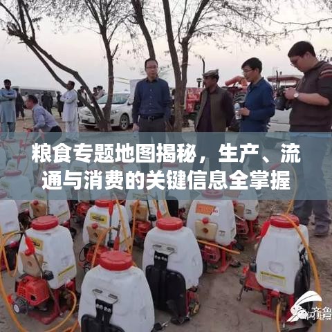 衣无二彩 第2页