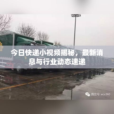 国色天香 第2页