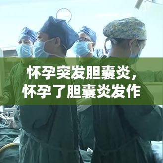远山芙蓉 第2页