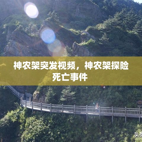 闻所未闻 第2页