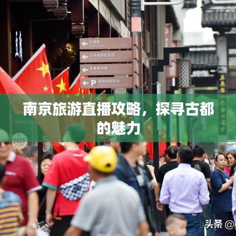 南京旅游直播攻略，探寻古都的魅力