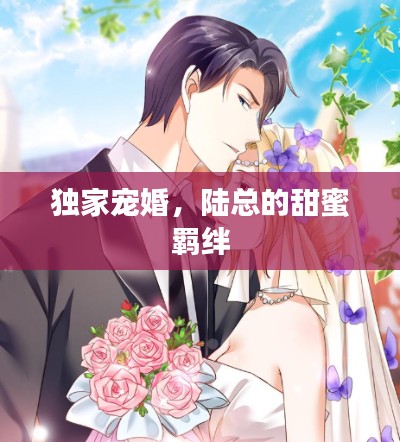 将机就机 第2页