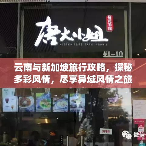 驾轻就熟 第2页