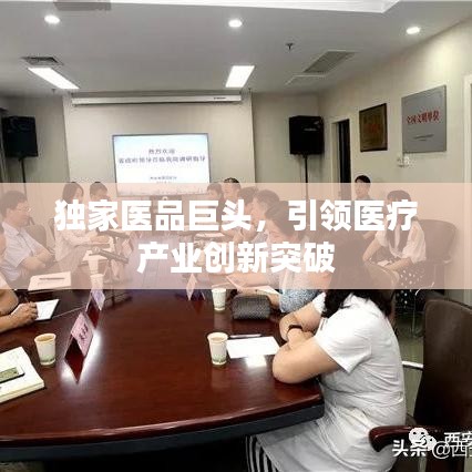 独家医品巨头，引领医疗产业创新突破