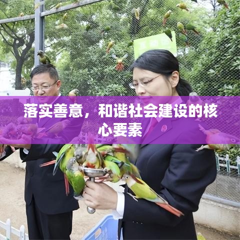 落实善意，和谐社会建设的核心要素