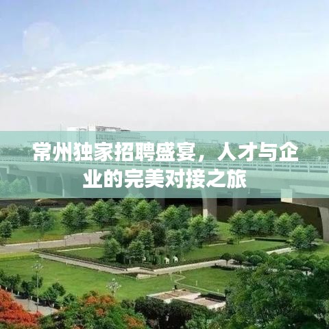 常州独家招聘盛宴，人才与企业的完美对接之旅