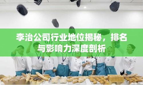 李治公司行业地位揭秘，排名与影响力深度剖析