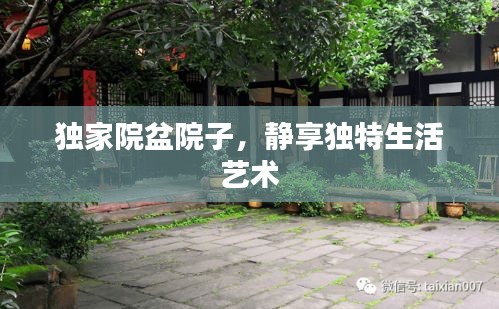 独家院盆院子，静享独特生活艺术