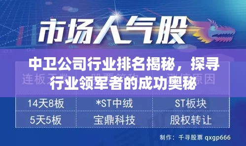中卫公司行业排名揭秘，探寻行业领军者的成功奥秘