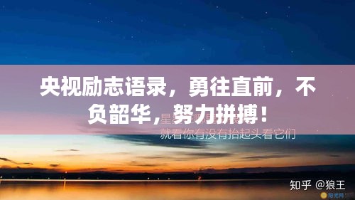 央视励志语录，勇往直前，不负韶华，努力拼搏！