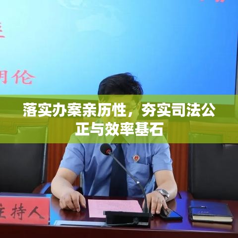 落实办案亲历性，夯实司法公正与效率基石