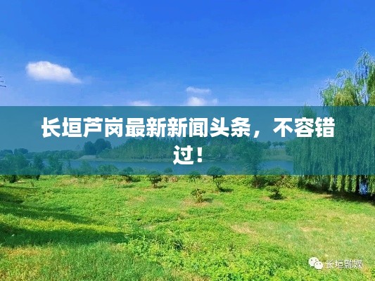 避实就虚