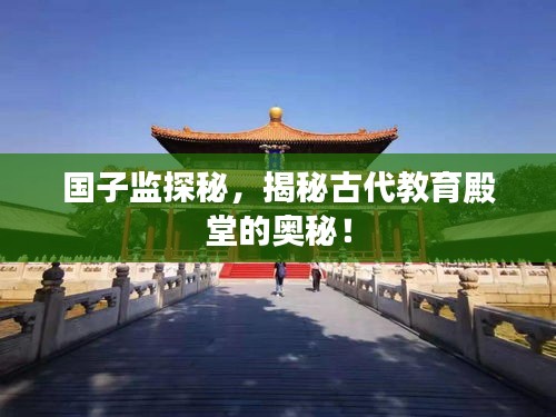 衣不重采