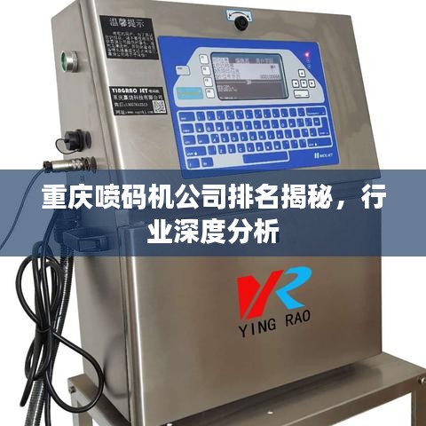 怀真抱素