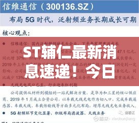 杳无音讯