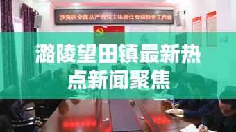 飞燕化龙