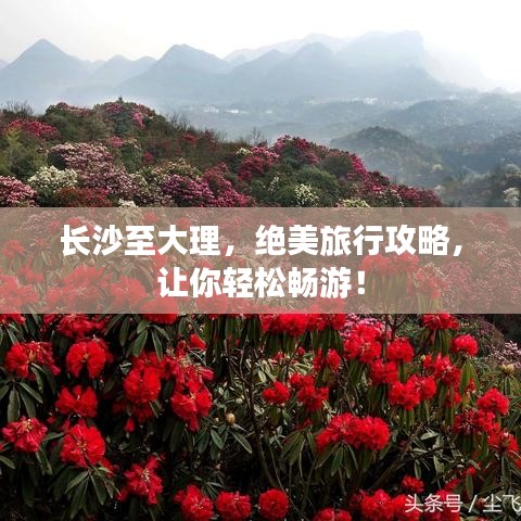 屈尊就卑
