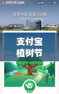 支付宝植树节专题讲座，绿色行动与数字时代的完美融合之道