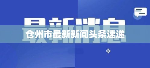 仓州市最新新闻头条速递