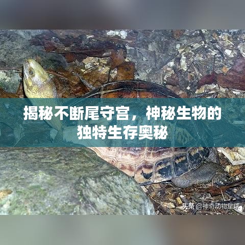 标新竞异