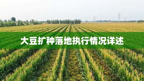 大豆扩种落地执行情况详述