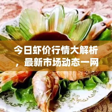 今日虾价行情大解析，最新市场动态一网打尽