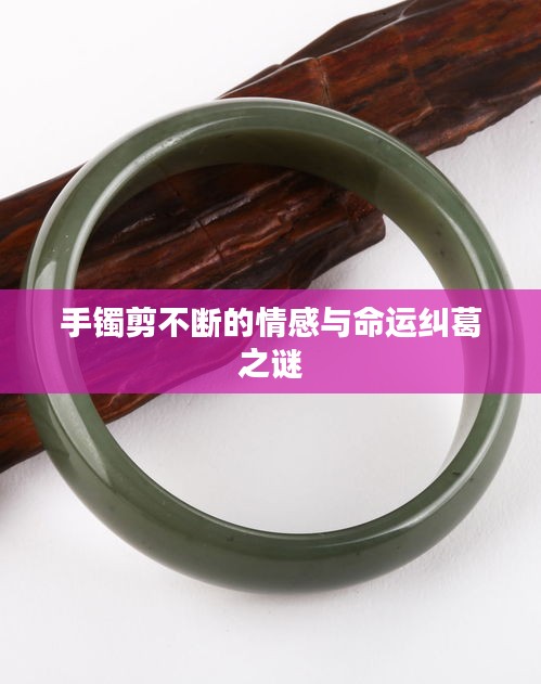 敷衍了事