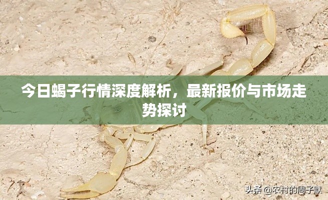 滔滔不绝
