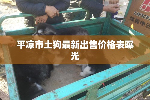 平凉市土狗最新出售价格表曝光