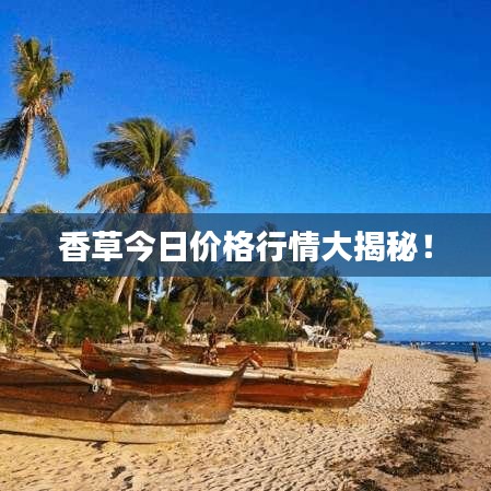 公路运输 第10页