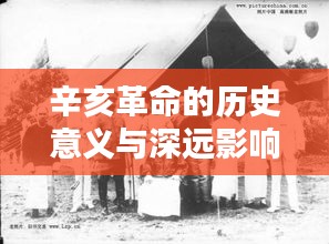 辛亥革命的历史意义与深远影响专题研究