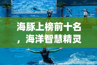 海豚上榜前十名，海洋智慧精灵的魅力展现