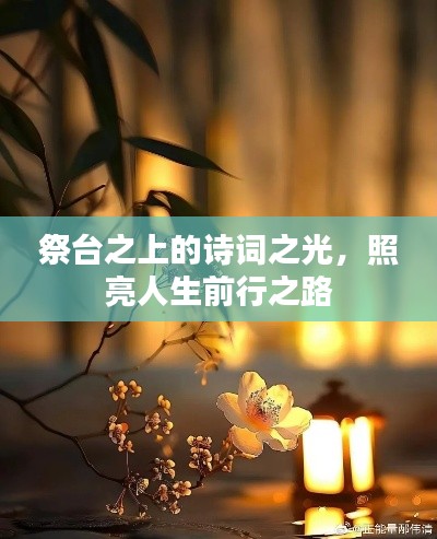 经典案例 第4页