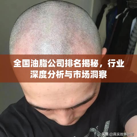 业务范围 第8页