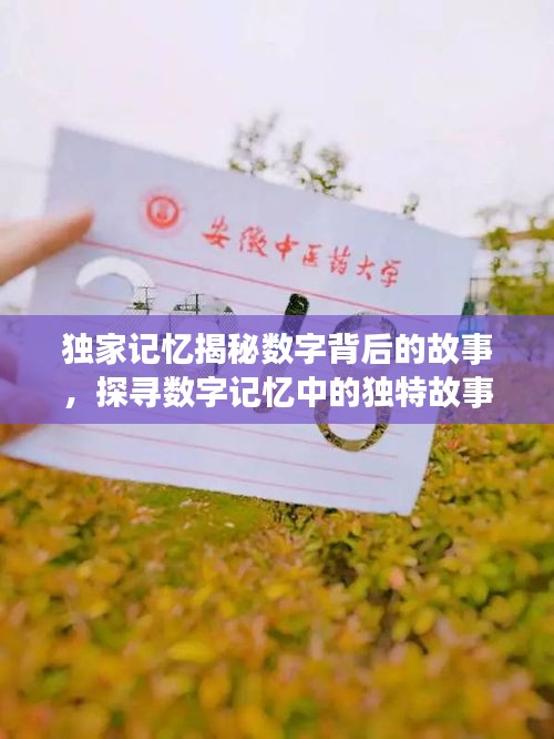 搬家运输 第3页