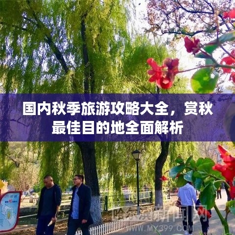 精品物流专线