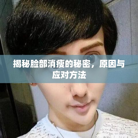 揭秘脸部消瘦的秘密，原因与应对方法