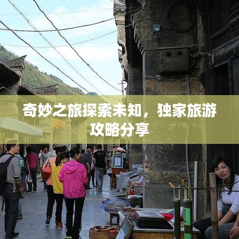 2025年6月11日