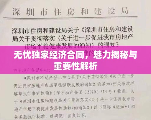 无忧独家经济合同，魅力揭秘与重要性解析