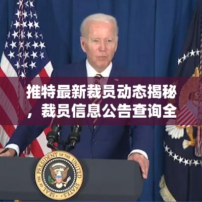推特最新裁员动态揭秘，裁员信息公告查询全解析