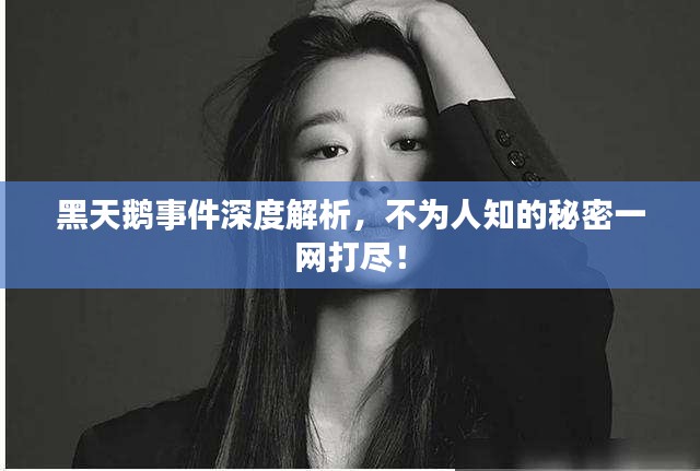 黑天鹅事件深度解析，不为人知的秘密一网打尽！