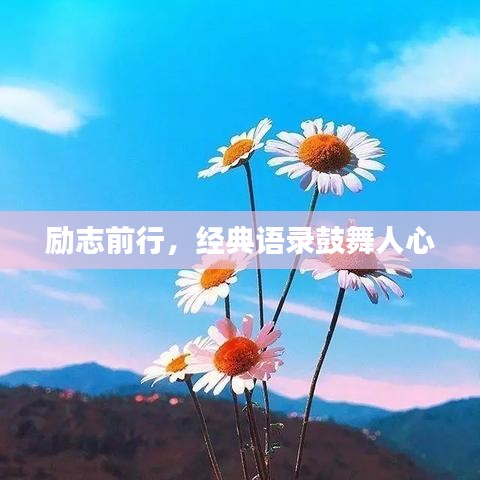 2025年6月25日