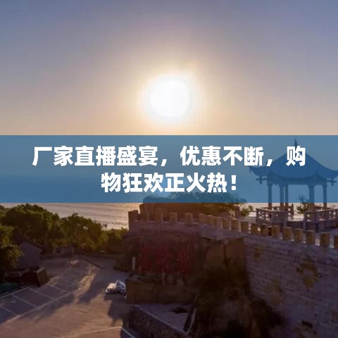 厂家直播盛宴，优惠不断，购物狂欢正火热！